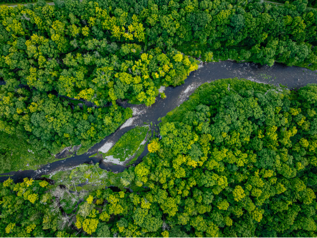 Penobscot River Restoration Project - photo 1