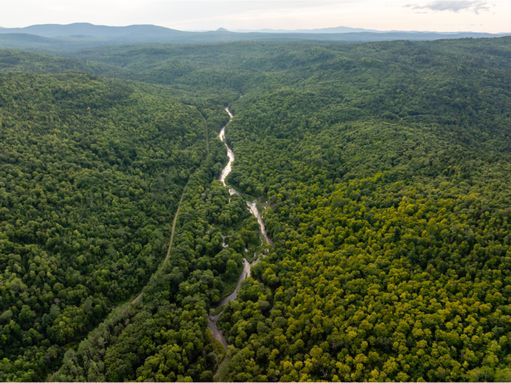Penobscot River Restoration Project - photo 2